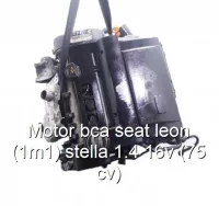 Motor bca seat leon (1m1) stella 1.4 16v (75 cv)