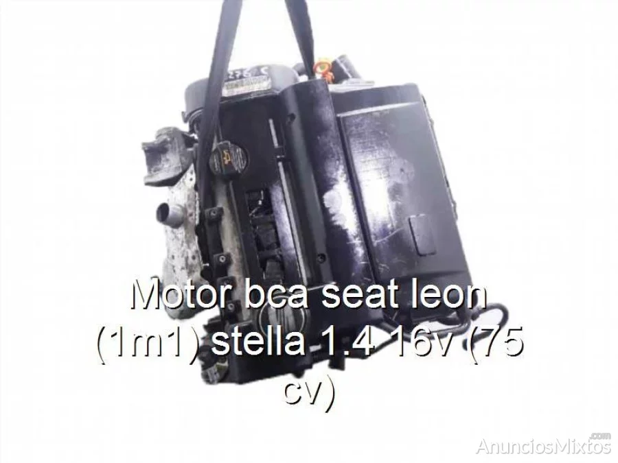 Motor bca seat leon (1m1) stella 1.4 16v (75 cv)