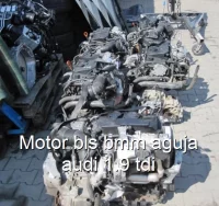 Motor bls bmm aguja audi 1.9 tdi