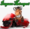 Desguace MotorSport